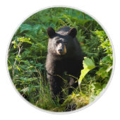 Bouton De Porte En Céramique Curieux ours noir (Devant)