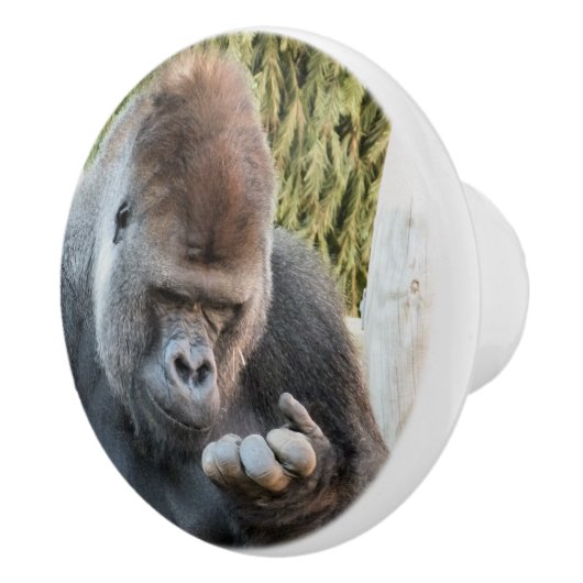 BOUTON DE PORTE EN CÉRAMIQUE CUTE GORILLA (Droite)