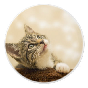 Bouton De Porte En Céramique Cute Kitten avec une paille étirée