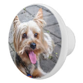 Bouton De Porte En Céramique Cute Terrier (Droite)