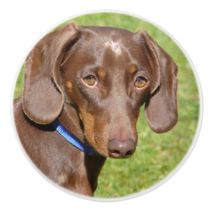 Bouton De Porte En Céramique Dachshund