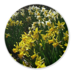 Bouton De Porte En Céramique Daffodiles jaunes et blancs Fleurs de printemps