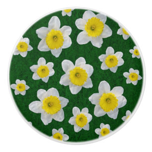 Bouton De Porte En Céramique Daffodiques de printemps