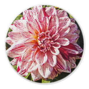 BOUTON DE PORTE EN CÉRAMIQUE DAHLIA ROUGE ET BLANC