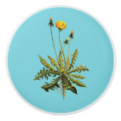 Bouton De Porte En Céramique Dandelion (Devant)