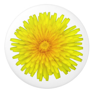 Bouton De Porte En Céramique Dandelion été