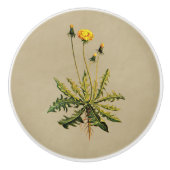 Bouton De Porte En Céramique Dandelion Sur Vieux Papier (Devant)