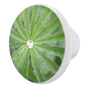 Bouton De Porte En Céramique Déposer