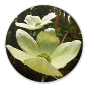 Bouton De Porte En Céramique Dogwoods et séquoias dans le parc national Yosemit