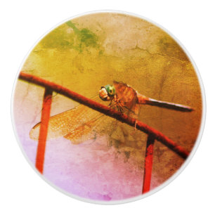 Bouton De Porte En Céramique Dragonfly On Wire Fence Grunge Abstrait