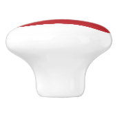 Bouton De Porte En Céramique Drapeau lituanien (Côté)