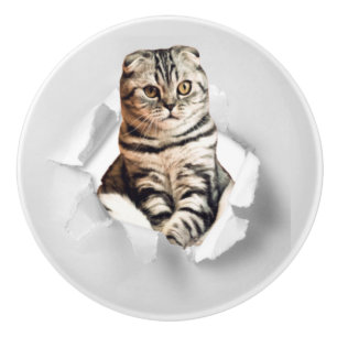 Bouton De Porte En Céramique Drôle Gray Cat Popping à travers l'illusion du pap