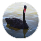 Bouton De Porte En Céramique Droplets De Cygne Noir Dans L'Étang, (Devant)