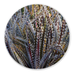 Bouton De Porte En Céramique Dyckia délice