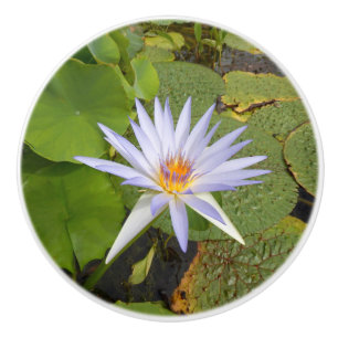 Bouton De Porte En Céramique Eau Lily Ceramic Knob