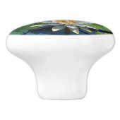 Bouton De Porte En Céramique Eau Lily fleur vibrante (Côté)