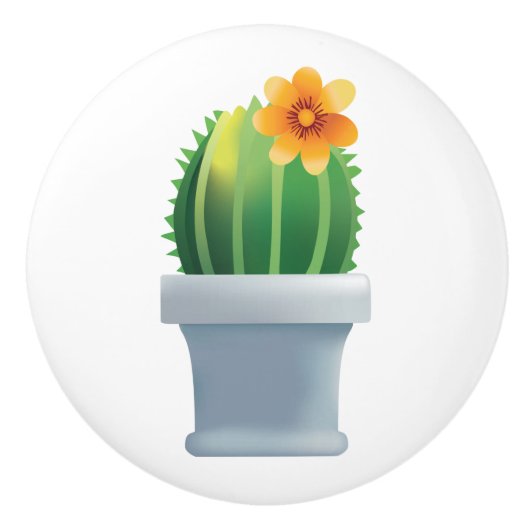 Bouton De Porte En Céramique Echinocactus (Devant)