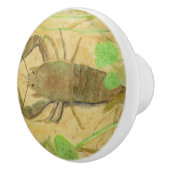 Bouton De Porte En Céramique Écrepoisson (Droite)