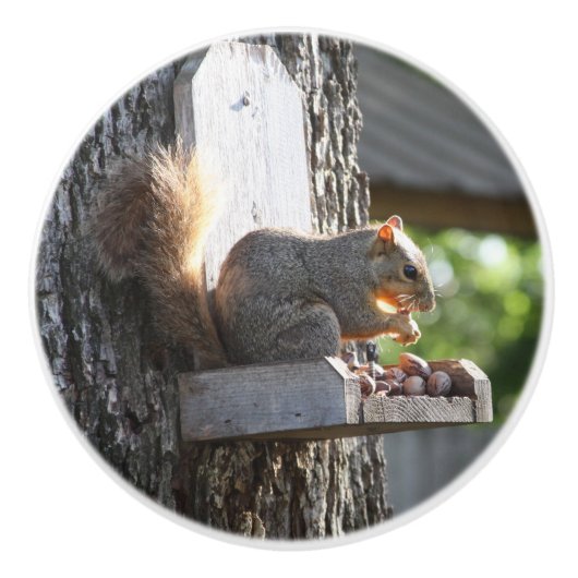 Bouton De Porte En Céramique Écureuil (Devant)