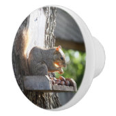 Bouton De Porte En Céramique Écureuil (Droite)