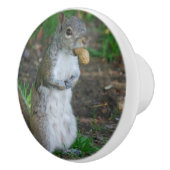 Bouton De Porte En Céramique Écureuil idiot (Droite)