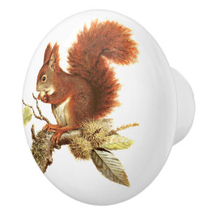 Bouton De Porte En Céramique Écureuil Rouge Mignon Sur Branche