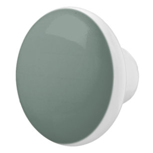 Bouton De Porte En Céramique Élégante couleur unie vert foncé