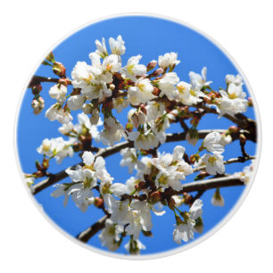 Bouton De Porte En Céramique Élégantes fleurs blanches