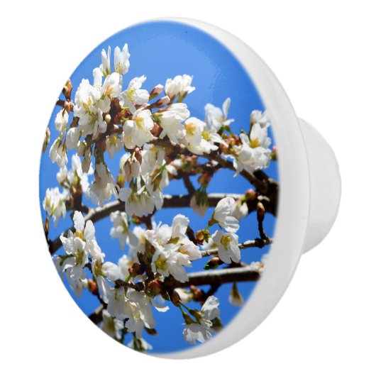 Bouton De Porte En Céramique Élégantes fleurs blanches (Droite)