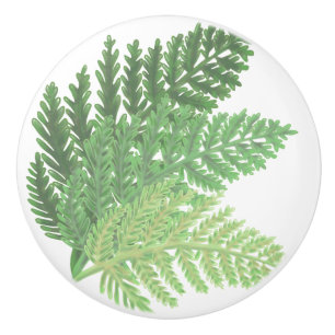 Bouton De Porte En Céramique Élégantes fougères d'aquarelle