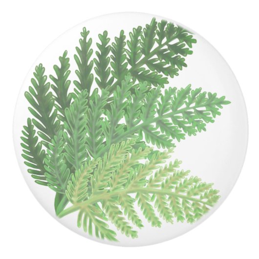 Bouton De Porte En Céramique Élégantes fougères d'aquarelle (Devant)