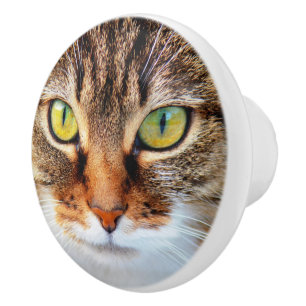 Bouton De Porte En Céramique Face de chat