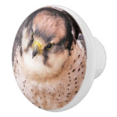 BOUTON DE PORTE EN CÉRAMIQUE FALCON (Droite)