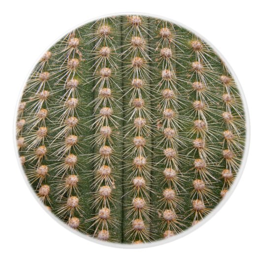 Bouton De Porte En Céramique Fermeture des cactus (Devant)