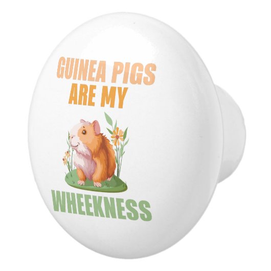 Bouton De Porte En Céramique Feu de marche (Droite)