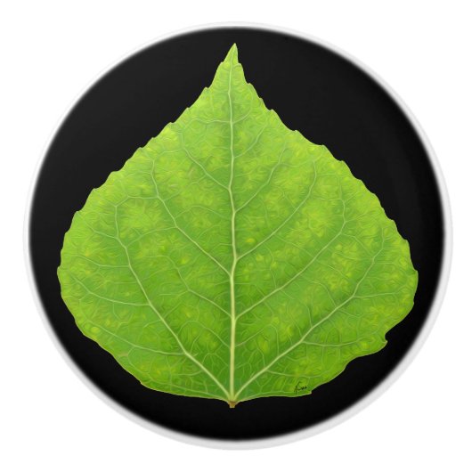 Bouton De Porte En Céramique Feuille d'Aspen vert #11 (Devant)