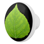 Bouton De Porte En Céramique Feuille d'Aspen vert #11 (Droite)