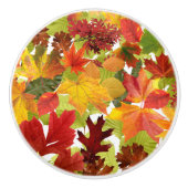 Bouton De Porte En Céramique Feuilles automnales d'automne (Devant)