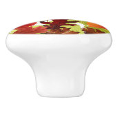 Bouton De Porte En Céramique Feuilles automnales d'automne (Côté)