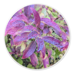 Bouton De Porte En Céramique Feuilles d'automne violettes
