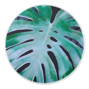 Bouton De Porte En Céramique Feuilles de Monstera Tropical