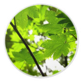 Bouton De Porte En Céramique Feuilles d'érable avec Raindrops (Devant)