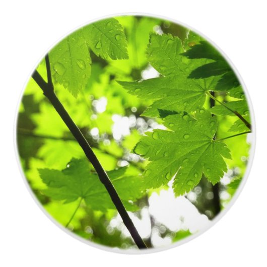 Bouton De Porte En Céramique Feuilles d'érable avec Raindrops (Devant)