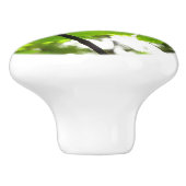 Bouton De Porte En Céramique Feuilles d'érable avec Raindrops (Côté)