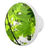 Bouton De Porte En Céramique Feuilles d'érable avec Raindrops (Droite)