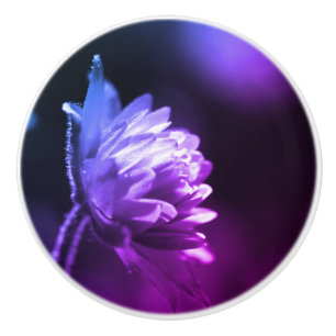 Bouton De Porte En Céramique Fleur Au Soleil Noir Et Blanc Couleur Tint