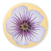 Fleur bleu-clair botanique de géranium sur toute