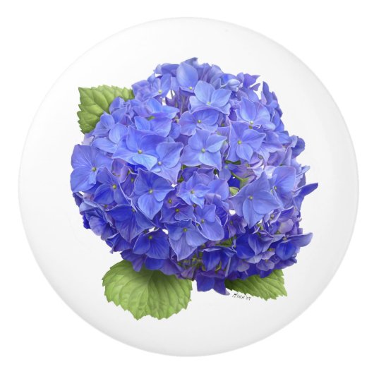 Bouton De Porte En Céramique Fleur Blue Hydrangea (Devant)