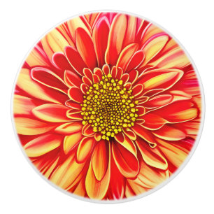 Bouton De Porte En Céramique Fleur d'aster orange et jaune doré