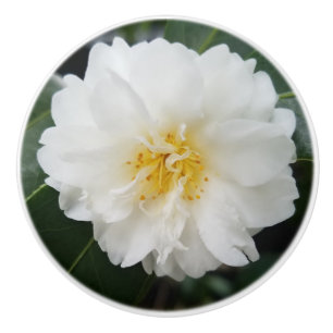Bouton De Porte En Céramique Fleur de Camellia ronde